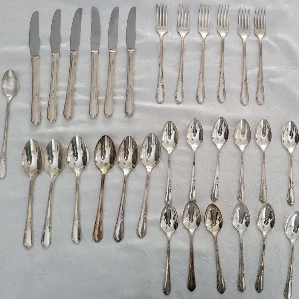 31 piece WM.A Roger's A1plus silverware